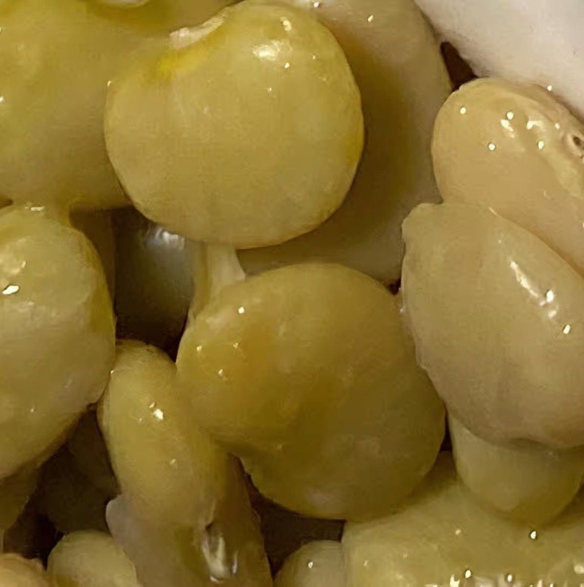 Lima Beans.